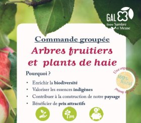 Picto_commande_groupe.JPG