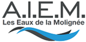 image aiem.png (15.4kB)